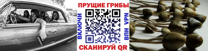 Псилоцибиновые грибы MAGIC MUSHROOMS  Великий Новгород 